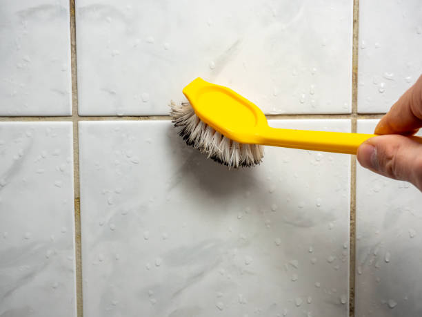 Best Home Mold Removal  in Soda Springs, ID