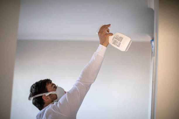 Best Mold Removal Company Near Me  in Soda Springs, ID